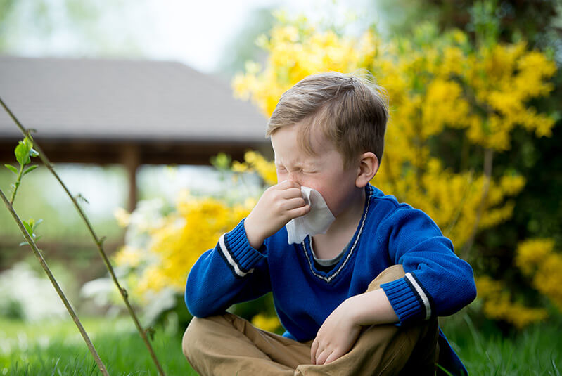 Petit garçon blond, vêtu d'un pull bleu et d'un pantalon brun, assis dans l'herbe, un bosquet de fleurs jaunes derrière lui, se mouche en fermant les yeux.