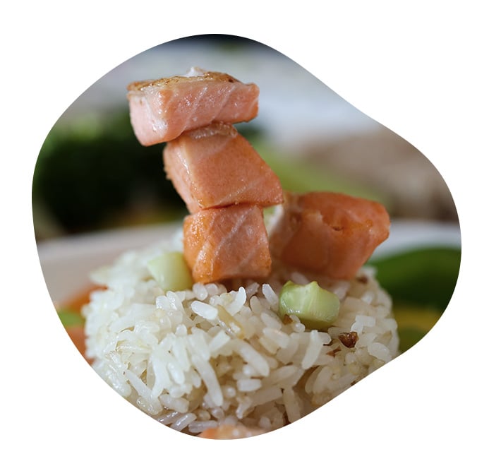 Dés de saumon grillé servis sur du riz blanc